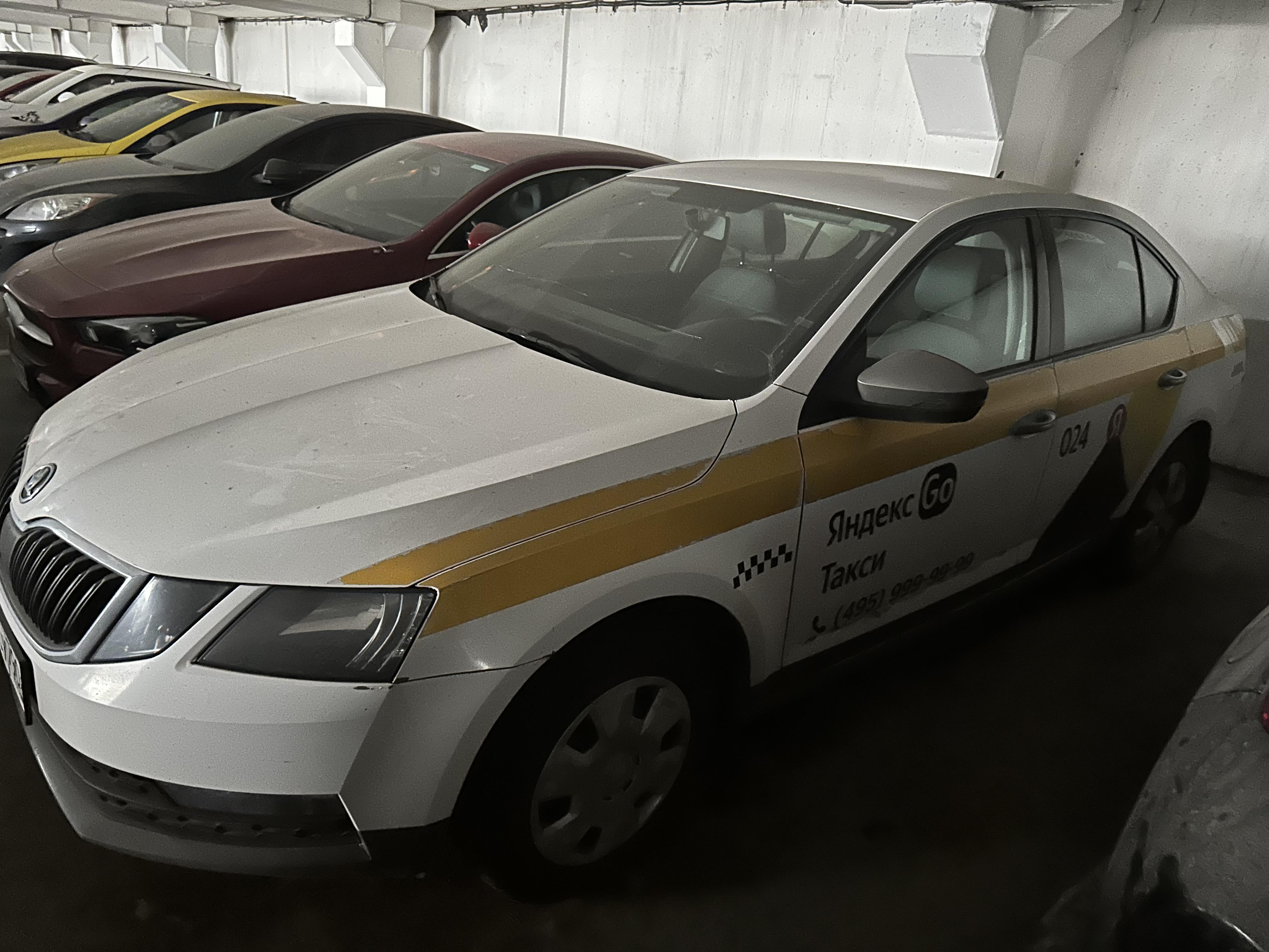 Skoda Octavia, 2019 Skoda Octavia, 2019