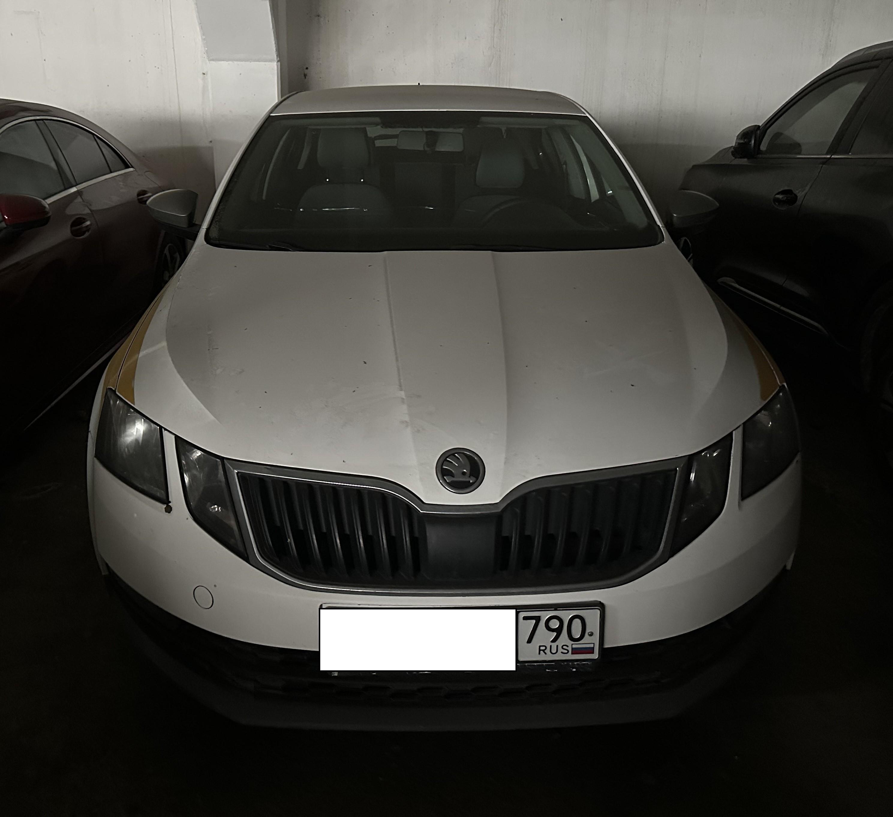 Skoda Octavia, 2019 Skoda Octavia, 2019