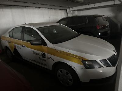Skoda Octavia, 2019 Skoda Octavia, 2019