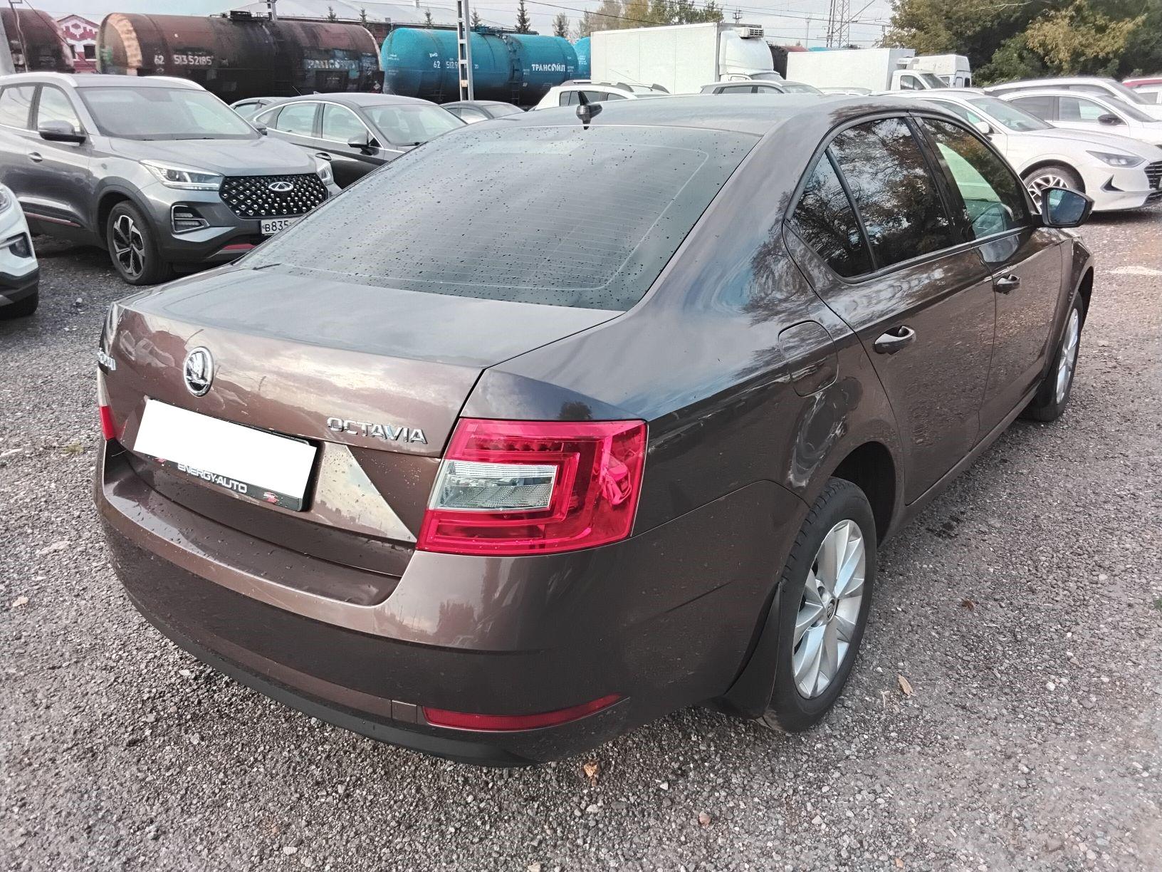 Skoda Octavia, 2020 Skoda Octavia, 2020