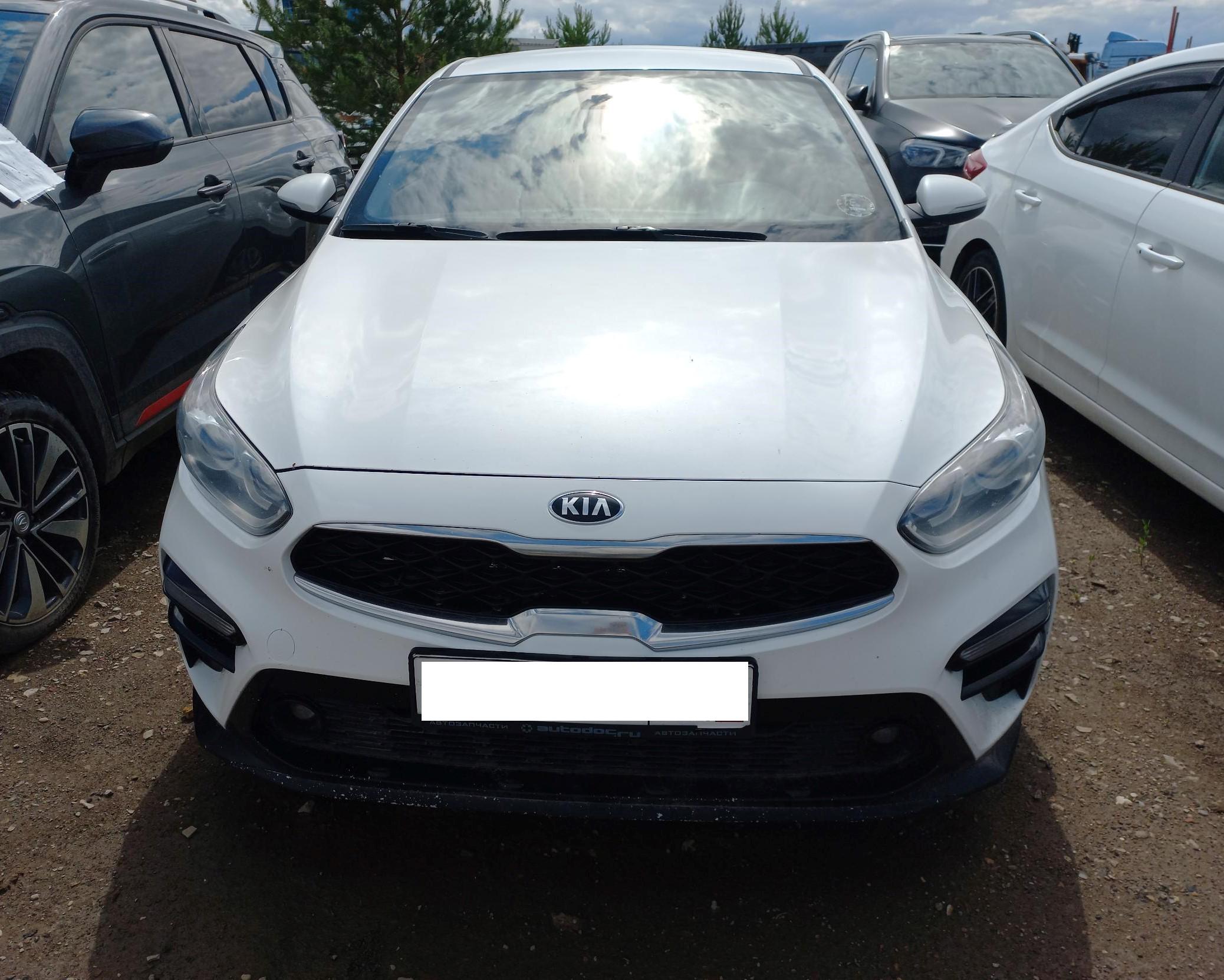 Kia Cerato, 2019 Kia Cerato, 2019