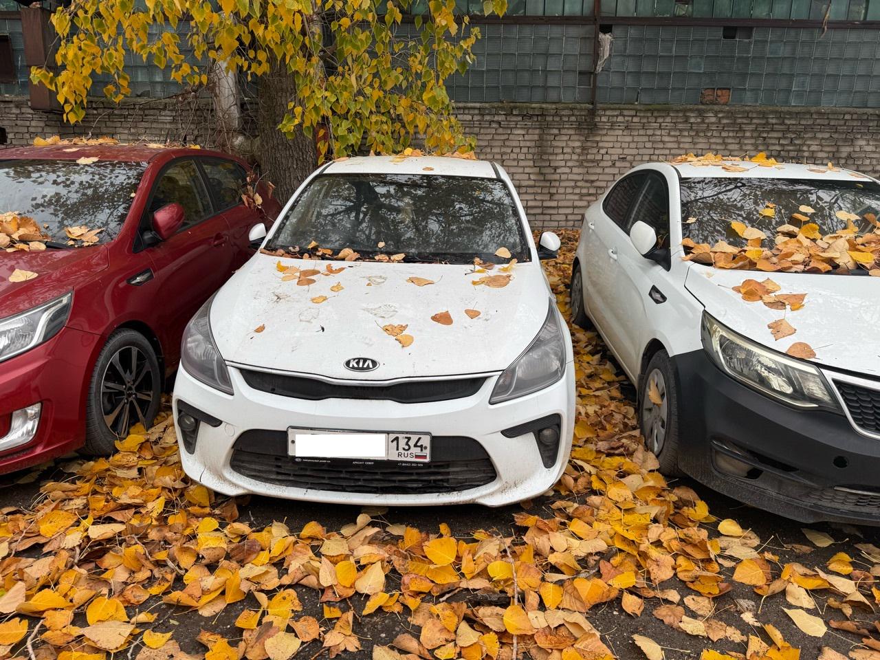 Kia Rio, 2018
