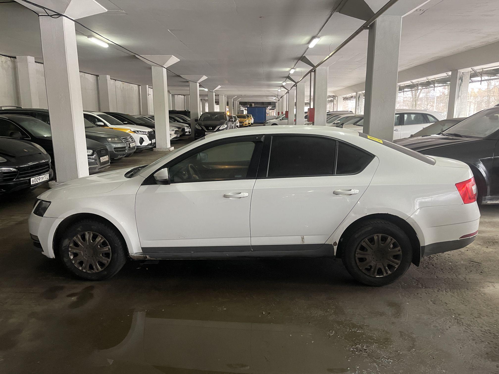 Skoda Octavia, 2020
