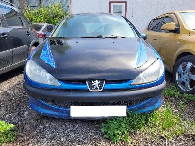 Peugeot 206, 2006