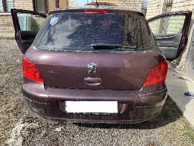 Peugeot 307, 2007