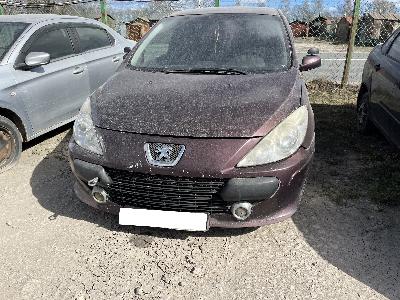 Peugeot 307, 2007