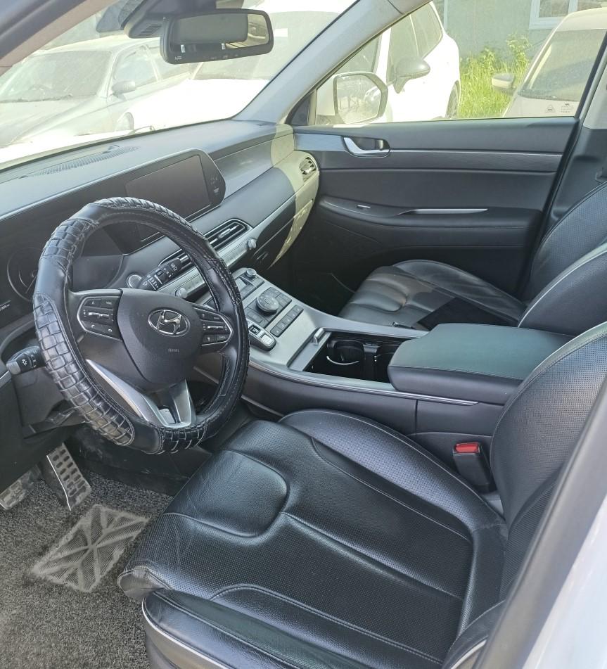 Hyundai Palisade, 2019